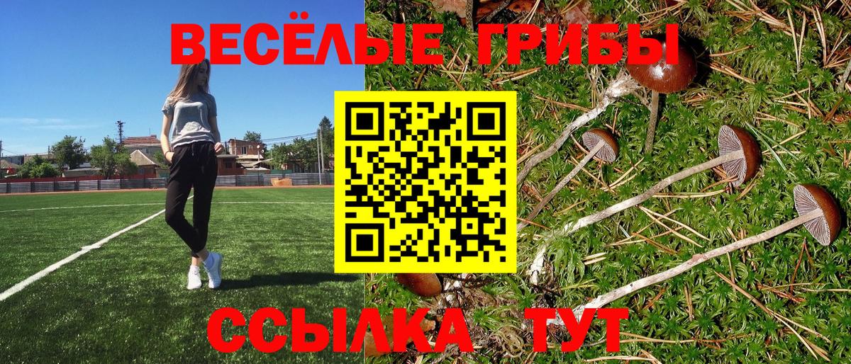 Галлюциногенные грибы GOLDEN TEACHER  Вход с VPN  Миасс 