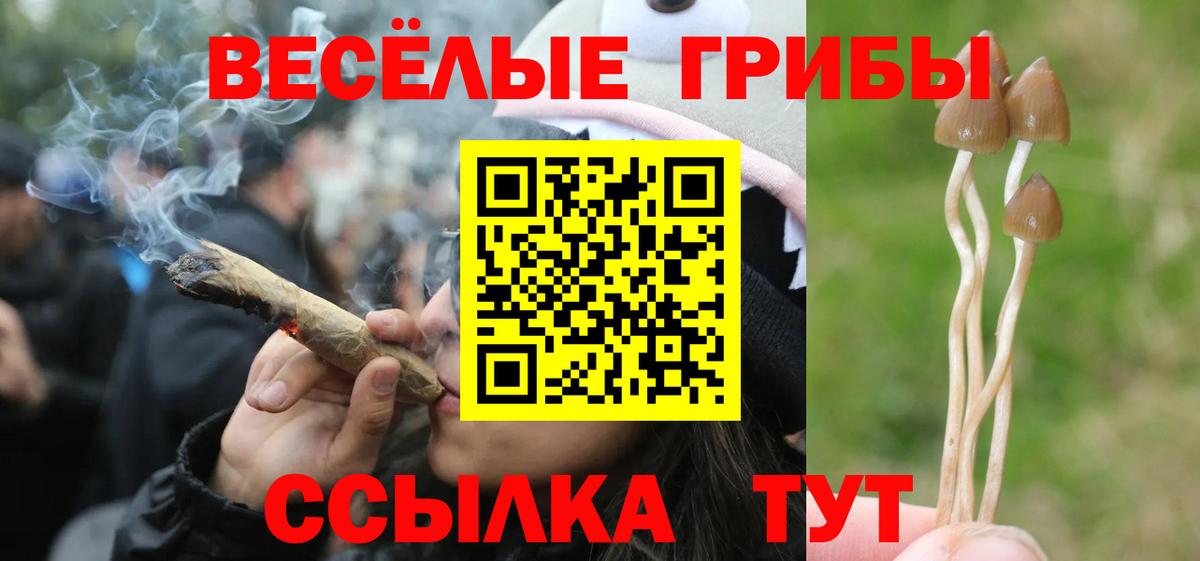 Псилоцибиновые грибы MAGIC MUSHROOMS Миасс